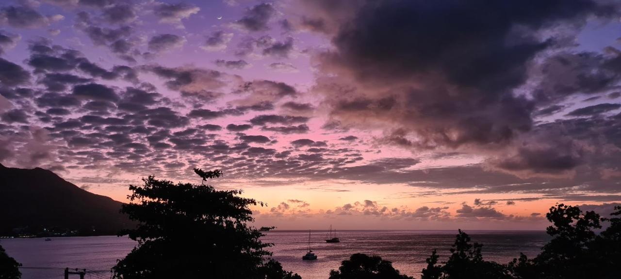 Harmony Self-Catering Apartments Beau Vallon  Buitenkant foto