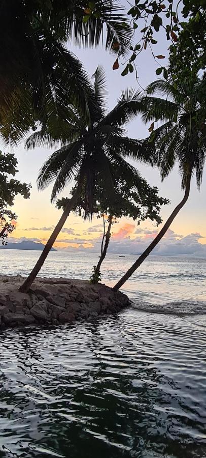 Harmony Self-Catering Apartments Beau Vallon  Buitenkant foto